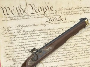 constitution_gun